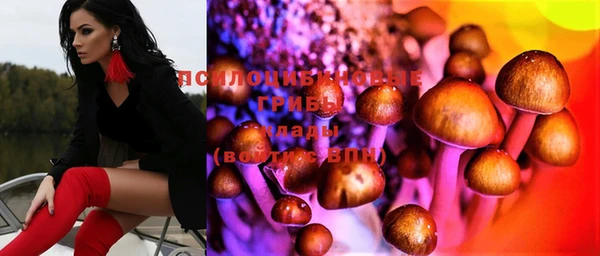 ГАЛЛЮЦИНОГЕННЫЕ ГРИБЫ Бронницы