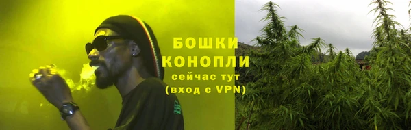 ГАЛЛЮЦИНОГЕННЫЕ ГРИБЫ Бронницы