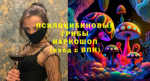 ГАЛЛЮЦИНОГЕННЫЕ ГРИБЫ Бронницы