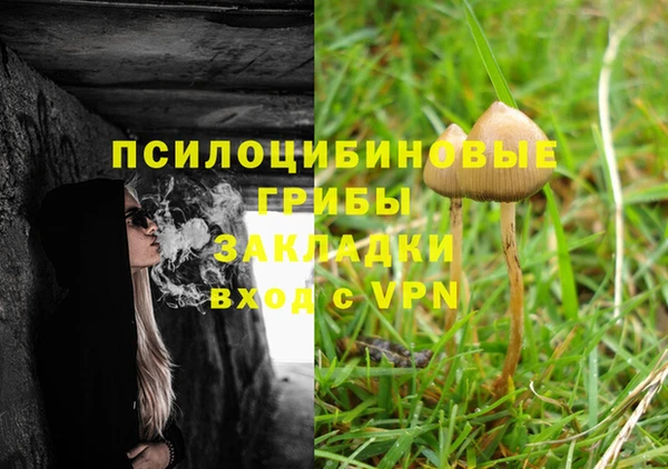 ГАЛЛЮЦИНОГЕННЫЕ ГРИБЫ Бронницы